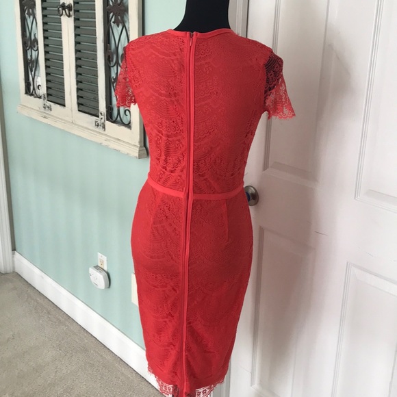 Lace eyelet body shaping dress - Picture 2 of 5